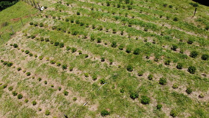 DCIM\108MEDIA\DJI_0472.JPG
