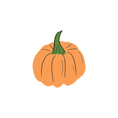 Orange fresh pumpkin vector hand drawn illustration with black lines isolated on white background. Farm concept, healthy nutrition, halloween, ingredient, menu, cooking, porridge, pie.