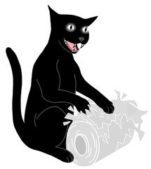 black cat tearing up a roll of toilet paper