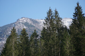 Austrian landscape in lower Austria: Snow covered mountain