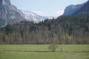 Beautiful nature landscape near lake lunz in lower austria