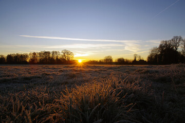 Gefrorenes Gras und die aufgehende Sonne im Hintergrund. Ein Wintermorgen auf dem Land.