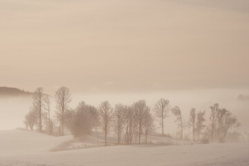 Norwegian February winter at rural Toten.