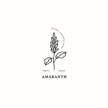 Line art amaranth branch illustration