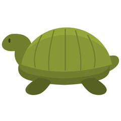 Illustration of a walking green tortoise