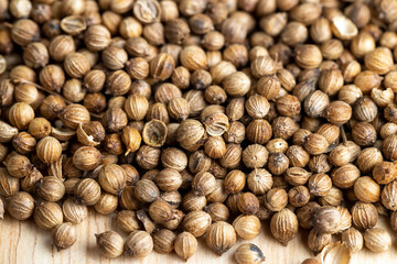 Dried coriander seeds with a strong pleasant aroma