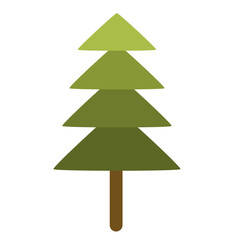 Illustration of green pine tree icon