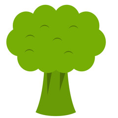 Pieces of fresh green leaf broccoli