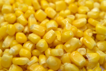 Fresh canned corn. Background of yellow corn grains. Corn grains close-up.