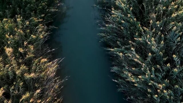 Aerial video of  a small stream near kibbutz sde eliyahu in Israel