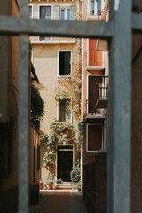 Window alley