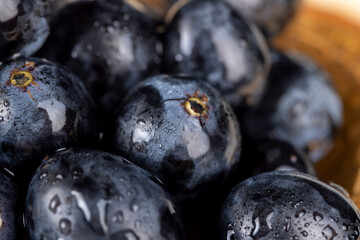sweet ripe black grapes covered with drops of water