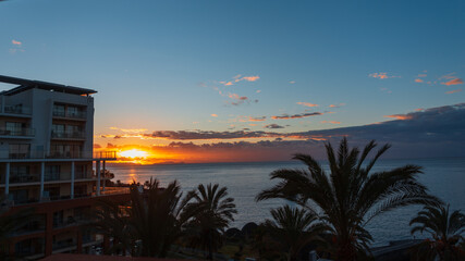 Obraz premium Amazing early morning sunrise with palm trees and ocean in Madeira island
