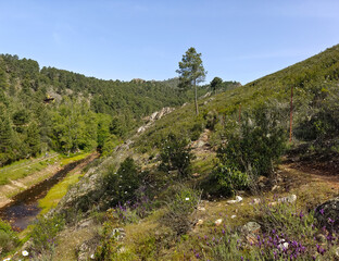 Mountains with river