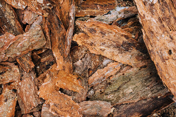Background, texture of pieces of peeled brown pine, coniferous dry bark. Photo close-up, top view, concept.