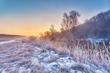 Dawn on winter riverbank. Frost on grass, cane. Snowy rural road. January fog. Forest river sunrise. Cold Weather landscape, reflection in water. - 569675569