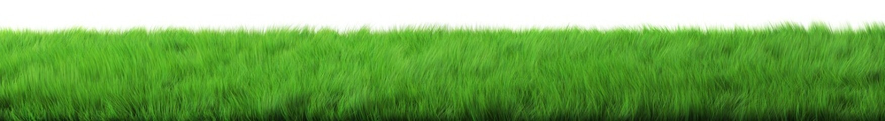 Fototapeta premium Green grass on a white background. 3d illustration