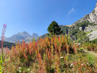 Landscape of Rila Mountain near Malyovitsa peak, Bulgaria