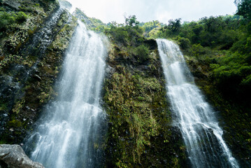 waterfall in the forest