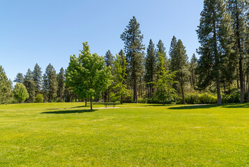 Fototapeta na wymiar The suburban Mirabeau Point Park in Spokane Valley, Washington, USA on a summer day. 