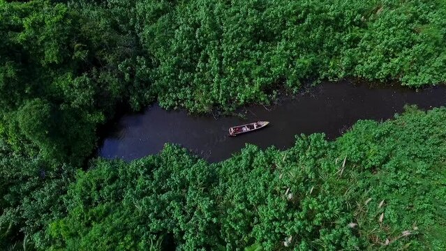 Amazon river crossed by boat with natives coming out of the thick Amazon jungle