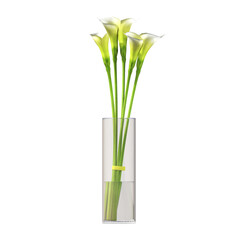 decorative flowers and plants for the interior, isolated on transparent background, 3D illustration, cg render