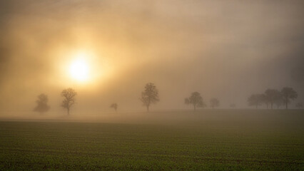 Fototapeta na wymiar sonnenuntergang mit nebel im herbst