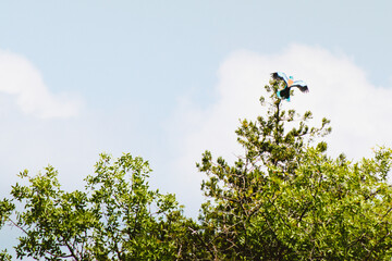 VAshlovani national park in Georgia