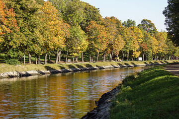 Obraz premium fall in the park