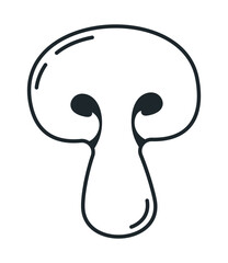 fresh mushroom vegetable