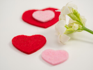 Hearts and a white flower on a white background. Valentine's Day.