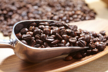 coffee beans in the spoon