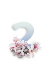 Numeri su sfondo bianco con fiori di magnolia