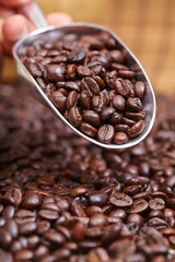 coffee beans in the spoon