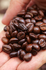 coffee beans on the hands
