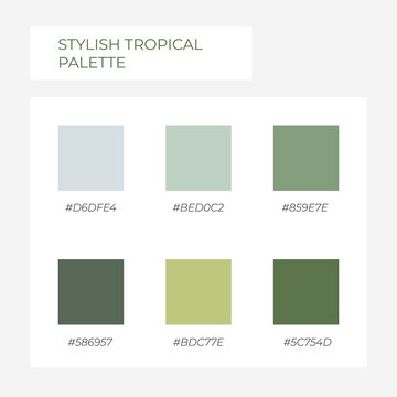 Stylish tropical palette. Cozy color pallete stylish minimalism. Swatch modern shade tone with hex code pastel colors. Super trendy colors