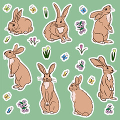 Spring set of hand drawn stickers with cartoon rabbits, spring flowers, butterflies and cherry blossom. Hand drawn isolated vector flat illustration. Template for cards, textile printing