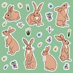 Spring set of hand drawn stickers with cartoon rabbits, spring flowers, butterflies and cherry blossom. Hand drawn isolated vector flat illustration. Template for cards, textile printing