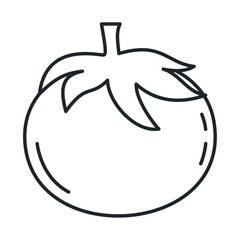 fresh tomato vegetable