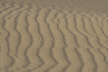 Bands in the sand typical of the dunes of the natural park of Corralejo
