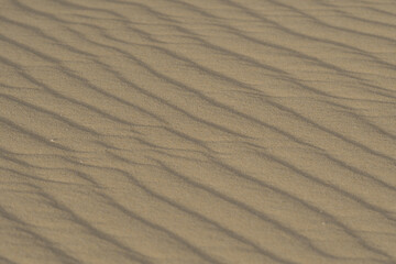 Bands in the sand typical of the dunes of the natural park of Corralejo