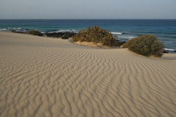 Dunes of the Natural Park of Corralejo in Fuerteventura