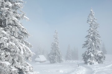 Amazing winter scenery of Tatra Mountains - Rusinowa Polana (Rusinowa Glade) with  shepherd's huts, Tatra National Park, Poland © Iwona