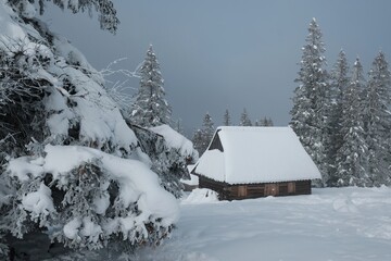 Amazing winter scenery of Tatra Mountains - Rusinowa Polana (Rusinowa Glade) with  shepherd's huts, Tatra National Park, Poland © Iwona