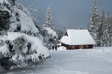 Amazing winter scenery of Tatra Mountains - Rusinowa Polana (Rusinowa Glade) with  shepherd's huts, Tatra National Park, Poland © Iwona