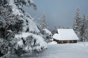 Amazing winter scenery of Tatra Mountains - Rusinowa Polana (Rusinowa Glade) with  shepherd's huts, Tatra National Park, Poland © Iwona