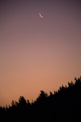 Waning crescent moon above forest during twilight