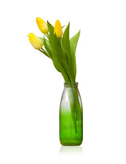 yellow tulips in a vase isolated on white