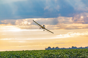 Avião agrícola no algodão