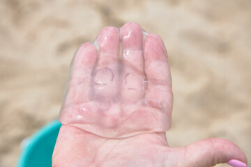 Jellyfish in the palm of your hand, you can see the structure, close-up.
